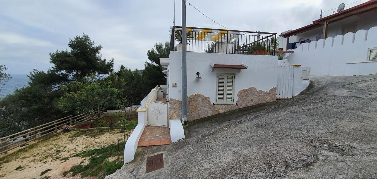 Casa Vacanze "Il Carrubo" Gagliano del Capo Ngoại thất bức ảnh